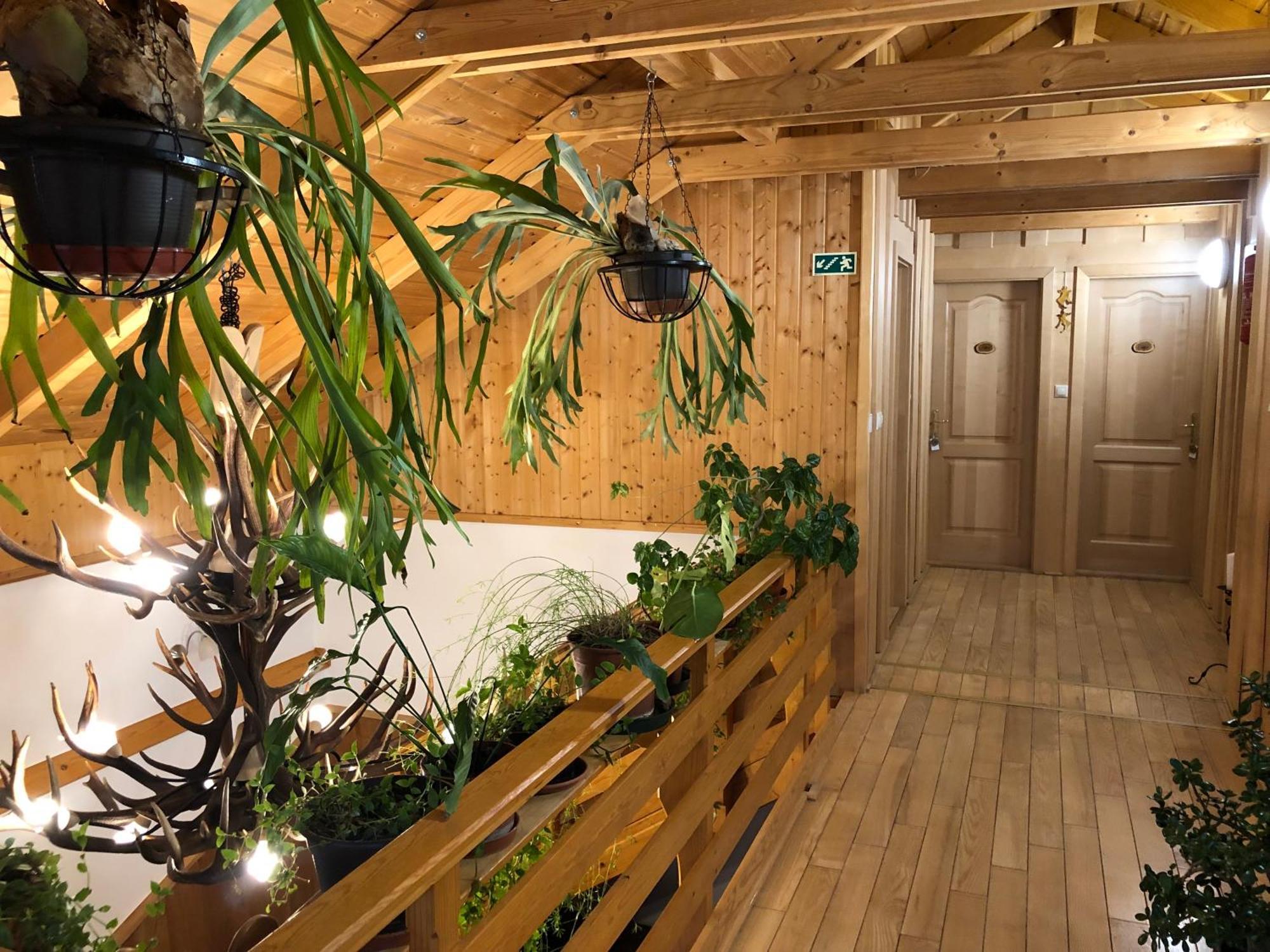 Tiszafa Vendeghaz Szentgal Hotell Exteriör bild